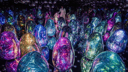 Second Nature at NMACC: The democratic future of exhibitions comes to India