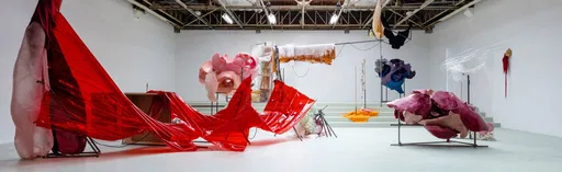 Daiga Grantina at the Mead Gallery