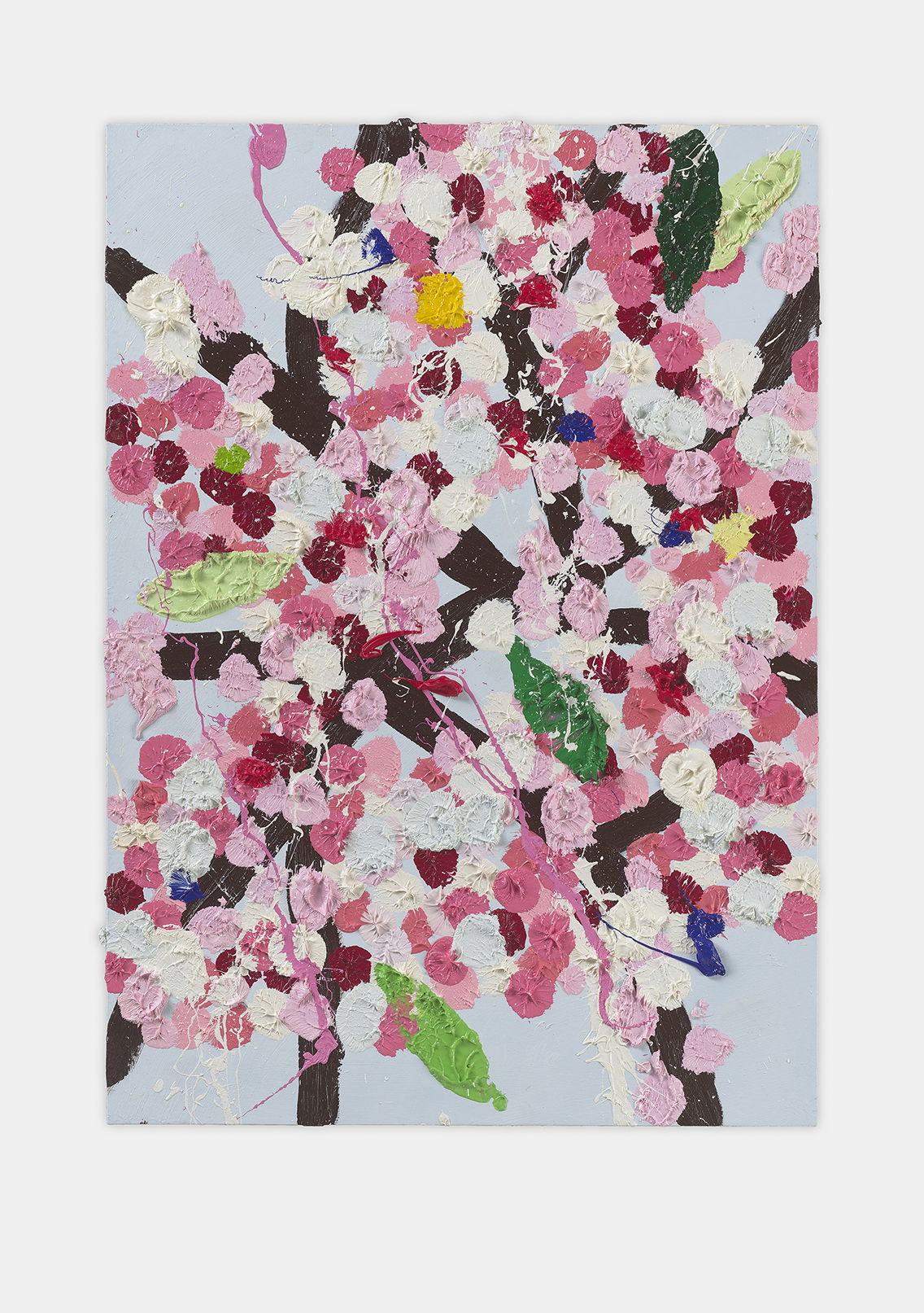 Championship Blossom 1 main image