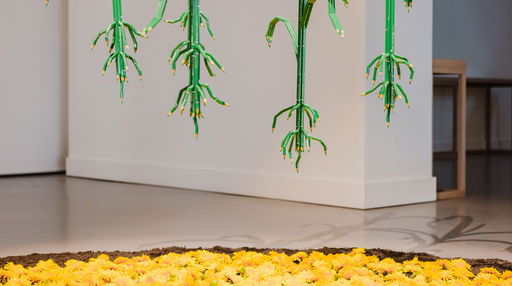 What To See at the Biennale of Sydney