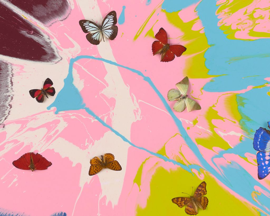 Beautiful For Today We Have Joy Painting (with Butterflies) 4