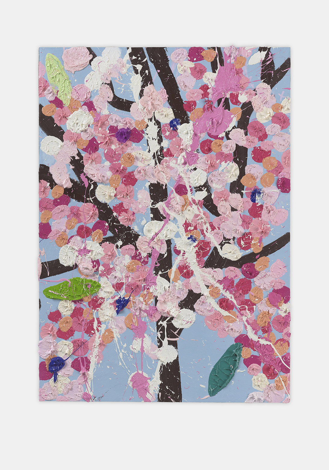 Sensational Blossom 1 main image