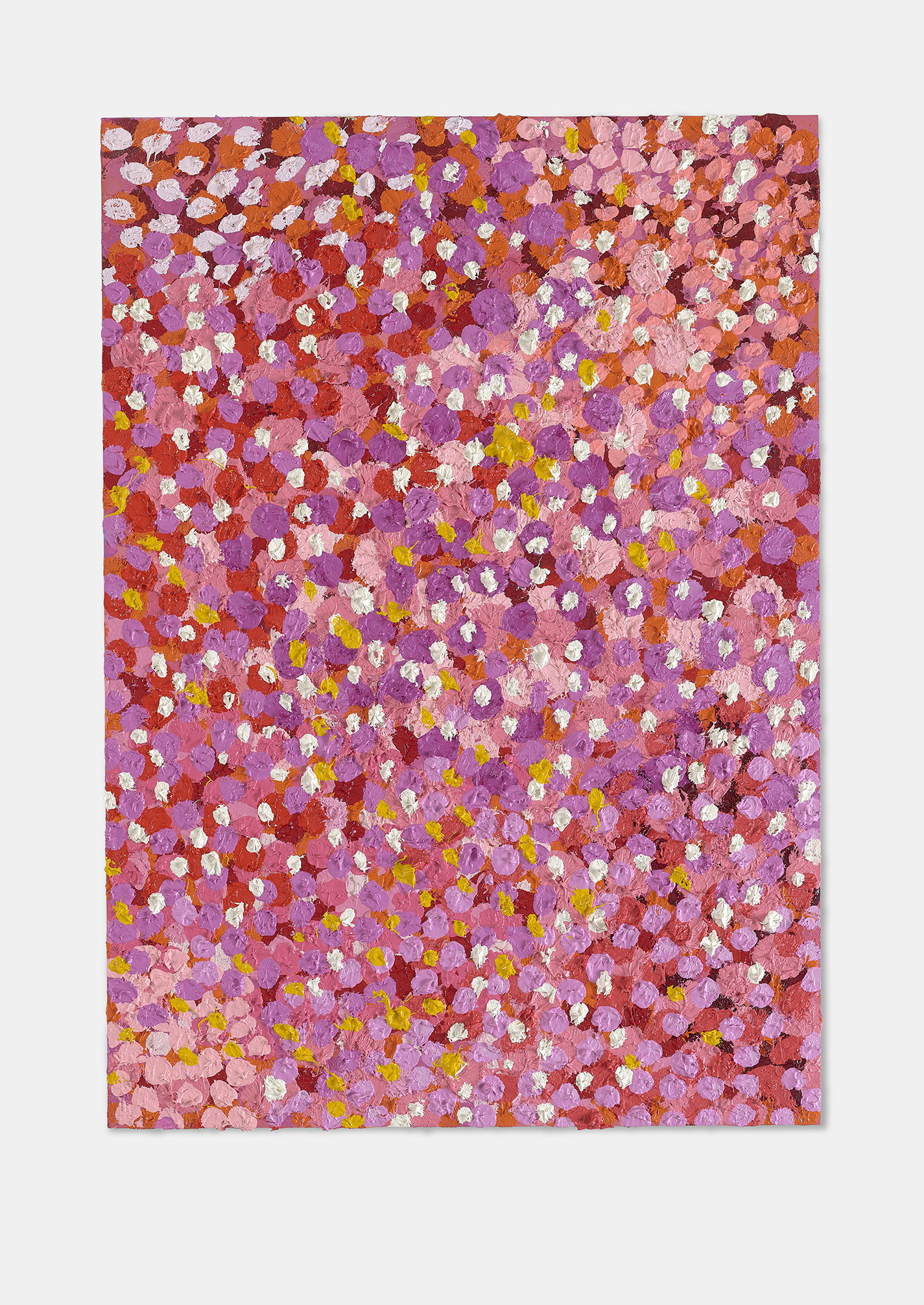 Superior Veil 1 main image