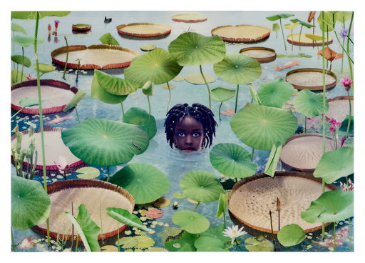 Ruud van Empel Work with $30,000 Estimate Heads to Auction