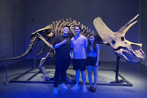 Deep in a Singapore vault lies a 69-million-year-old dinosaur skeleton owned by crypto elite