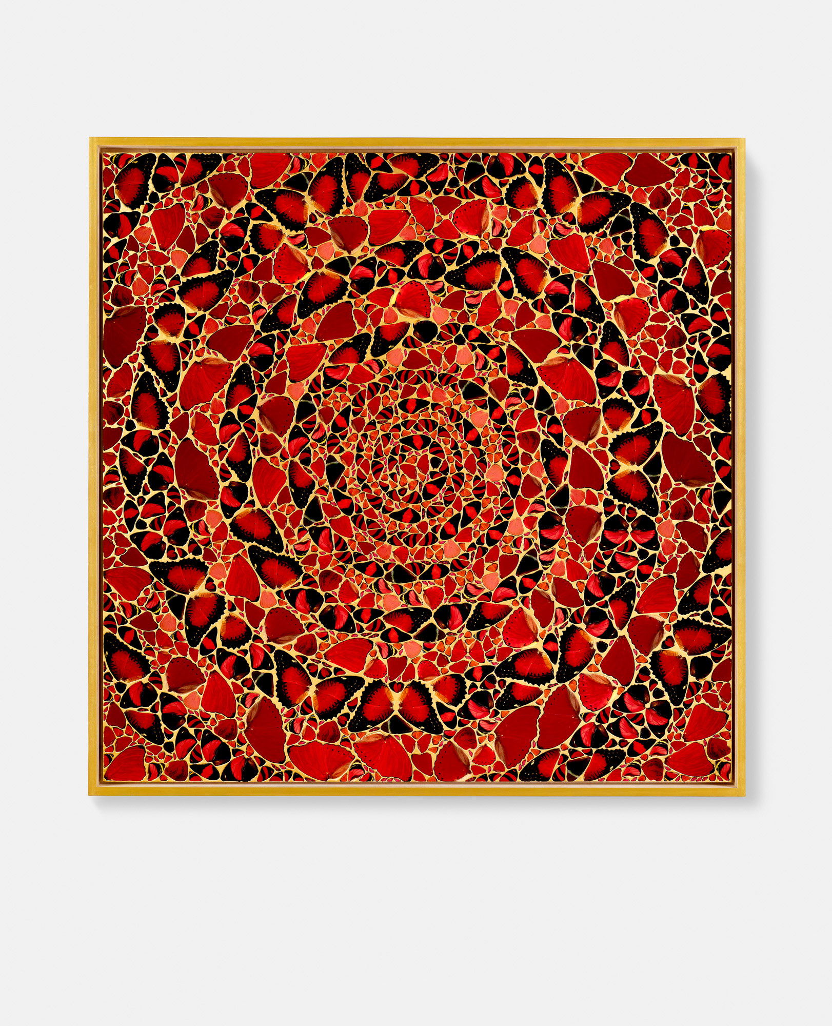 Myeongseong 1 main image