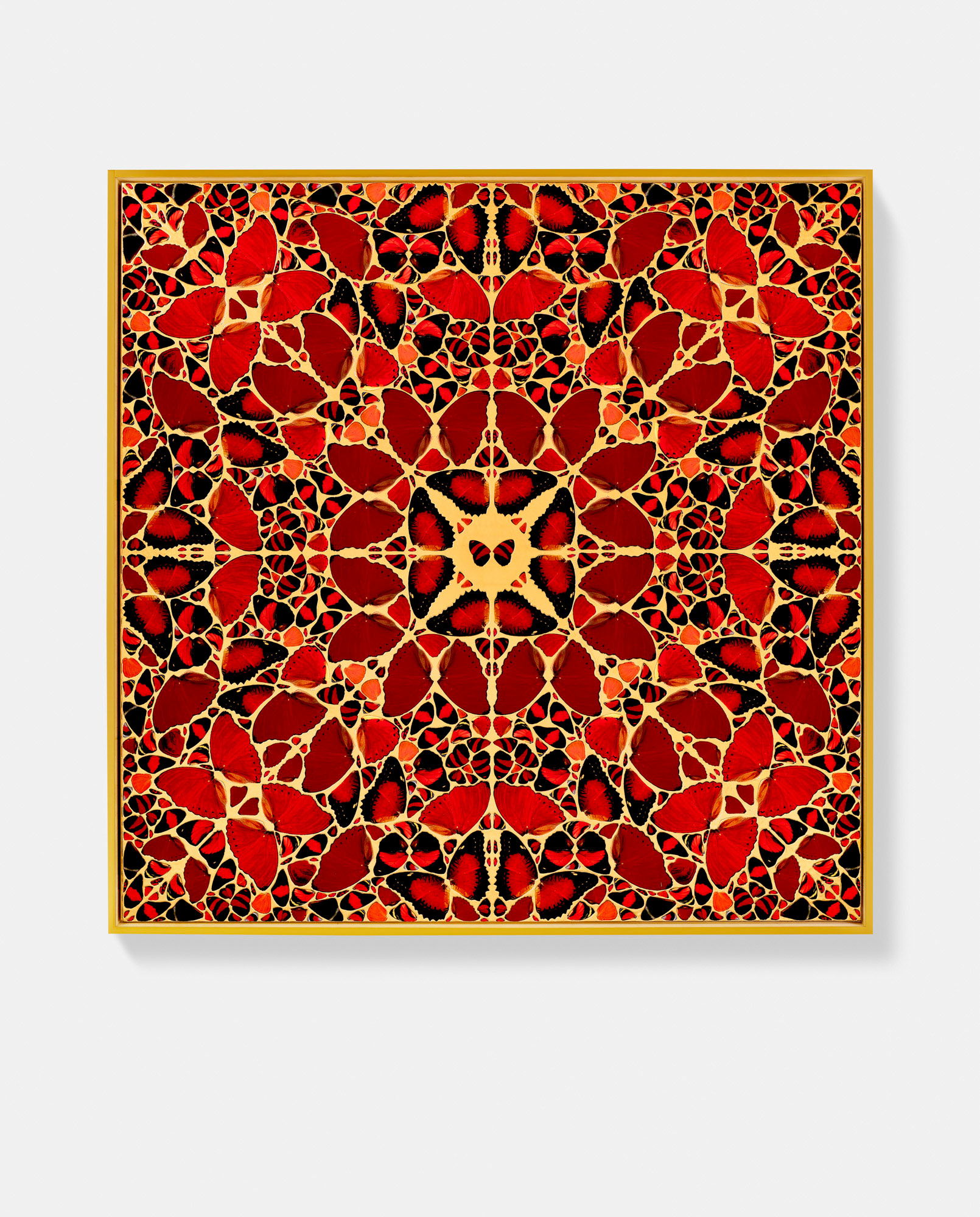 Zhao Feiyan 1 main image