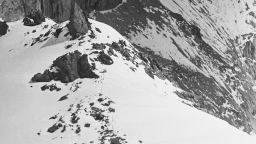 Photographic Encounters