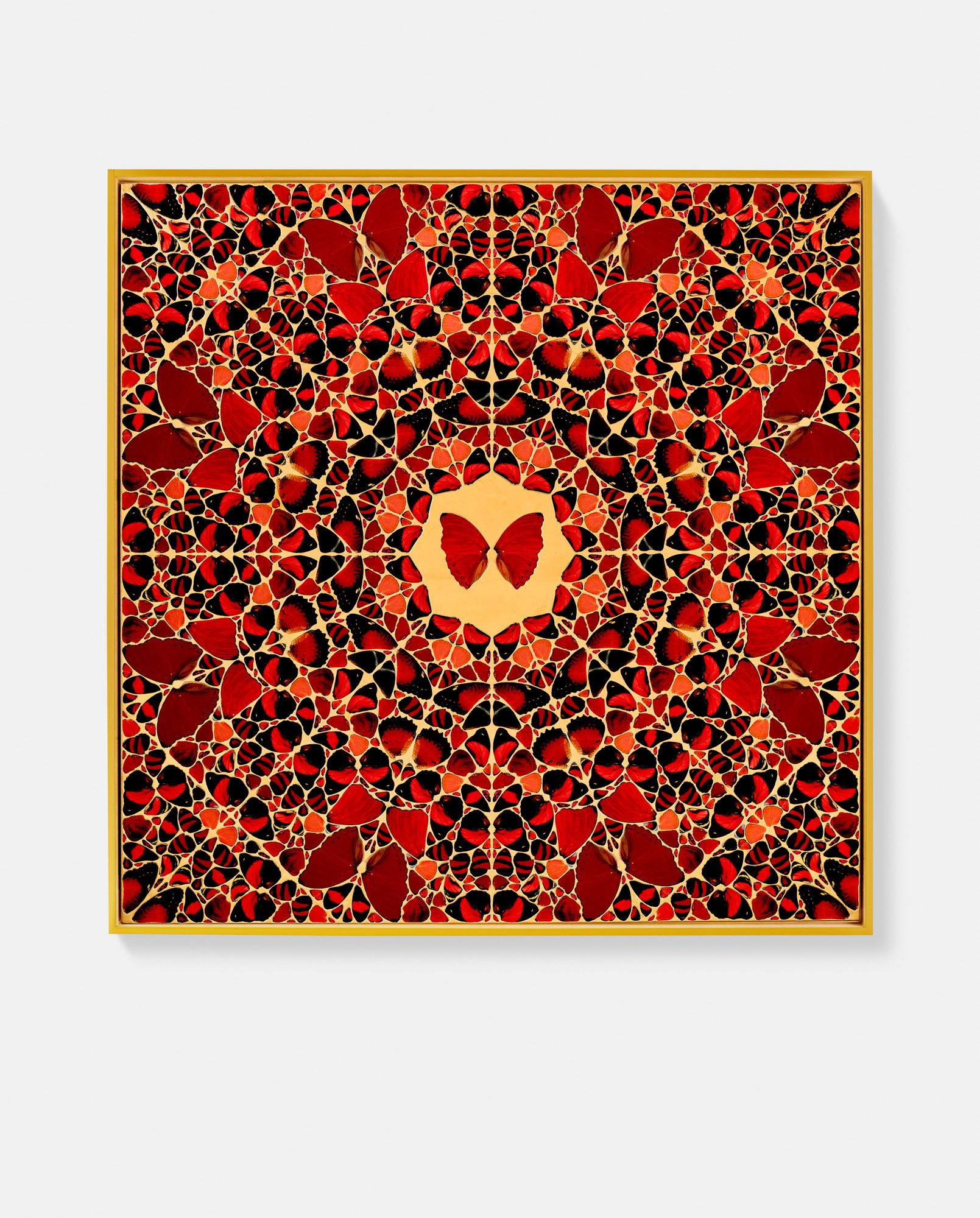 Töregene Khatun / Go-Sakuramachi / Mentewab / Alexandra / Zita 5