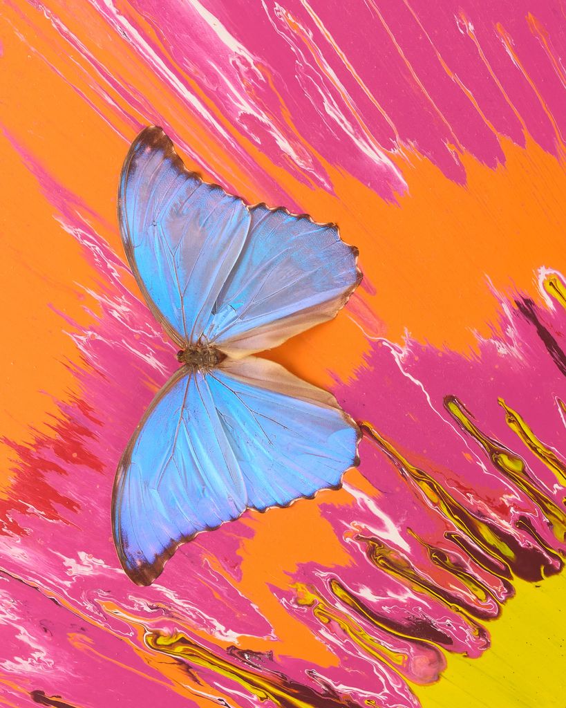 Beautiful Tiger's Eye, Lion's Heart Painting (with Butterflies) 3