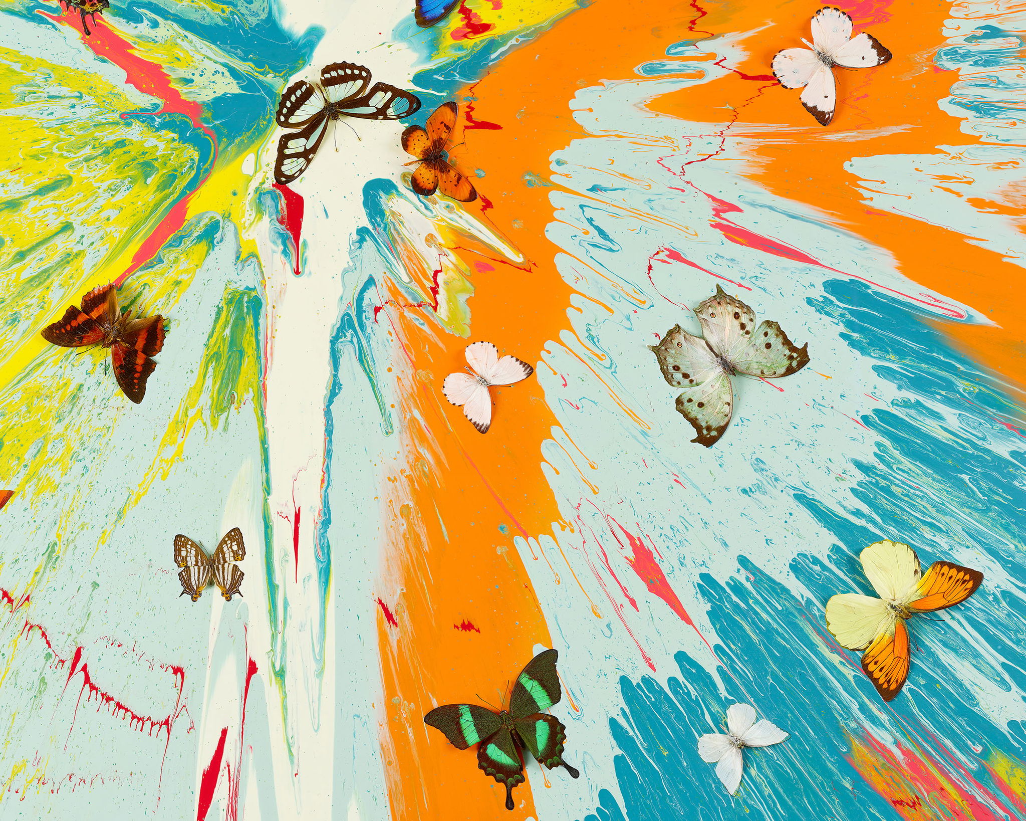 Transient Ephemera image #2