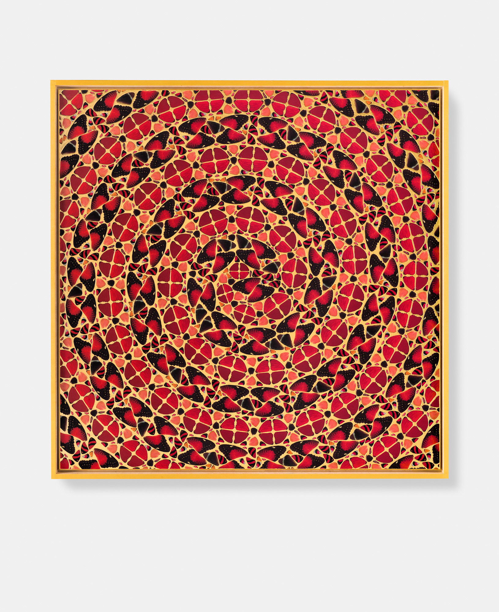 Gaohou / Nambui / Lucilla / Jeguk / Anna 3