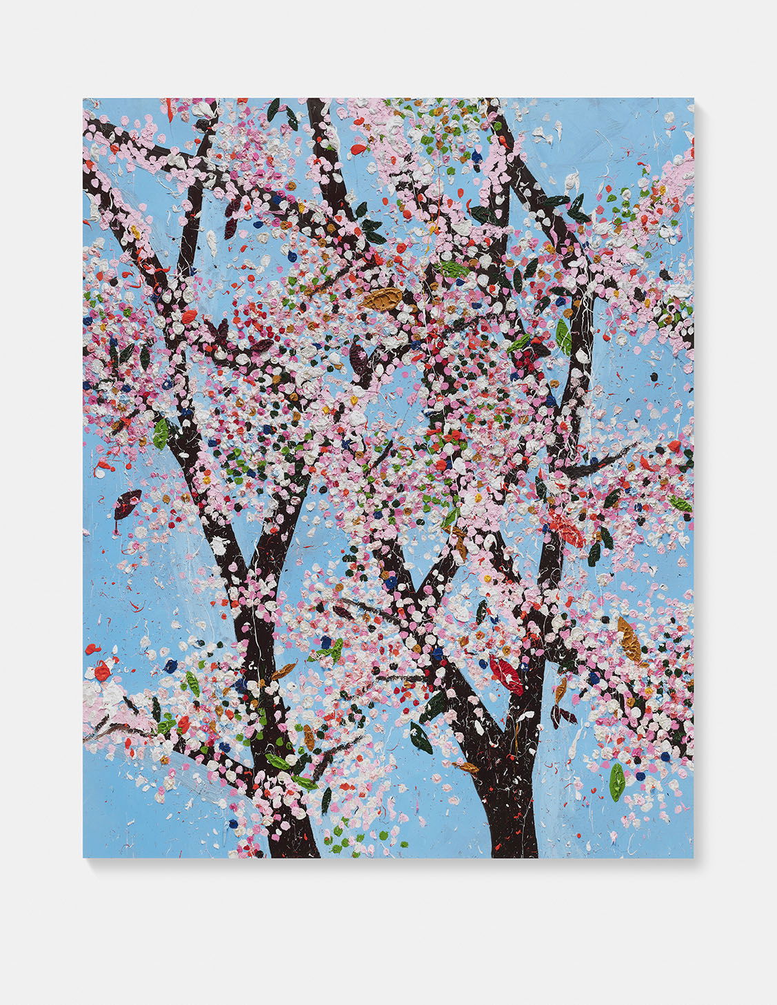 Honour image #1 main image