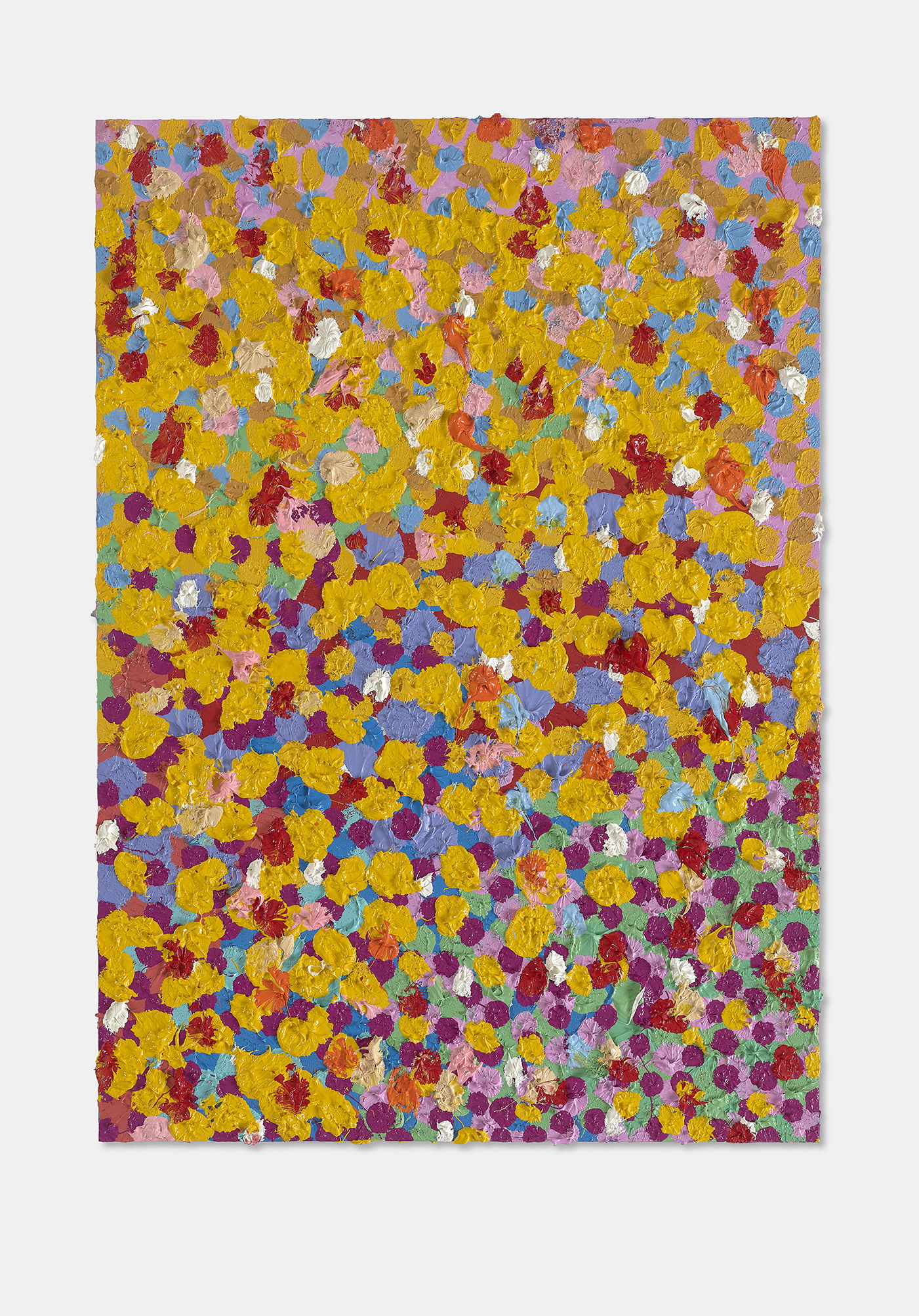 Fortuitous Veil 1 main image