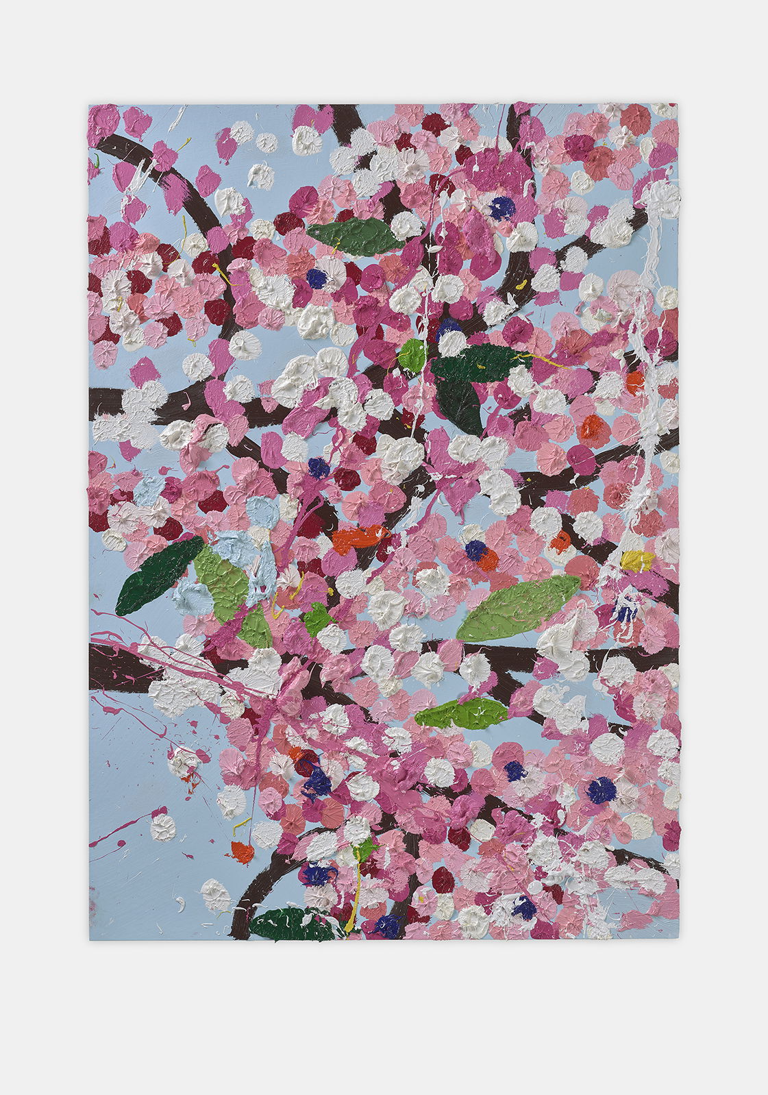 Champions Blossom 1 main image