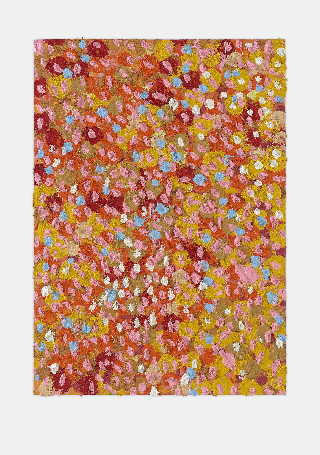 Educated Veil 1 main image