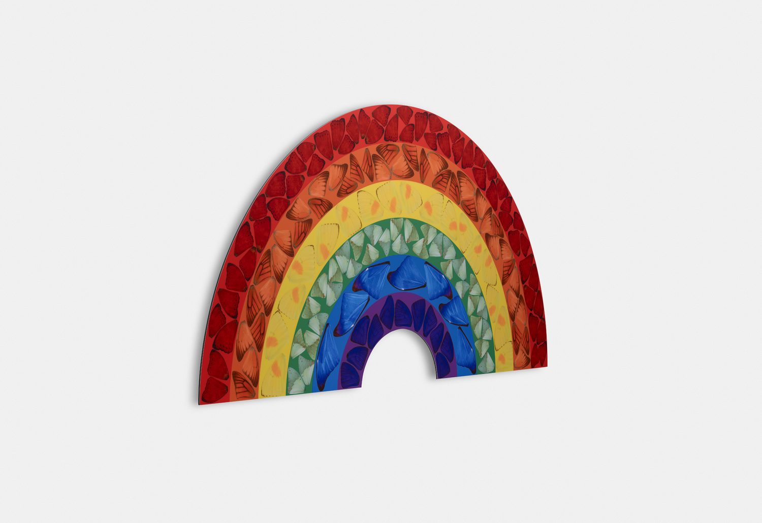Butterfly Rainbow (Large) image #3