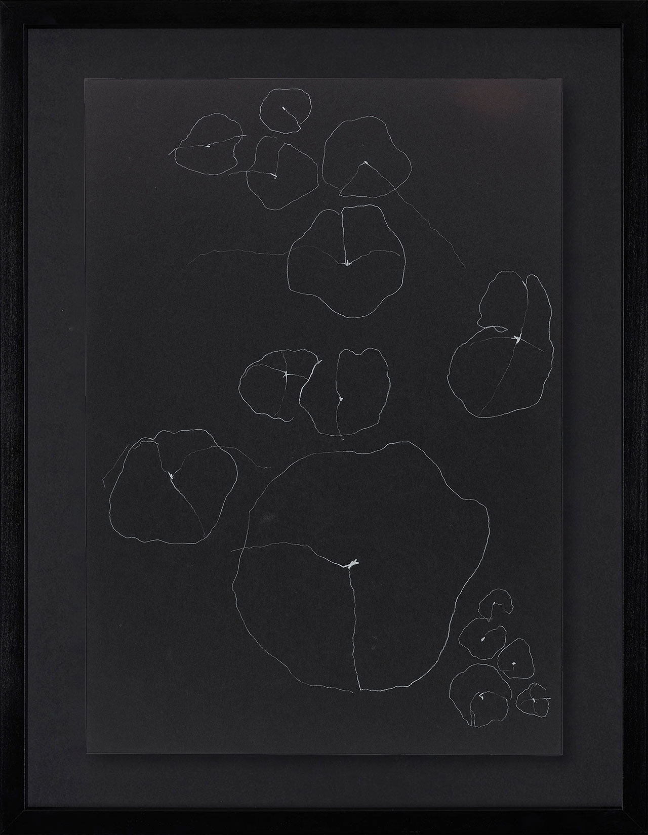 Peel Cottage Garden  1 main image