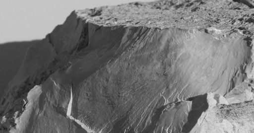 Jelena Bulajić: Untitled (after)