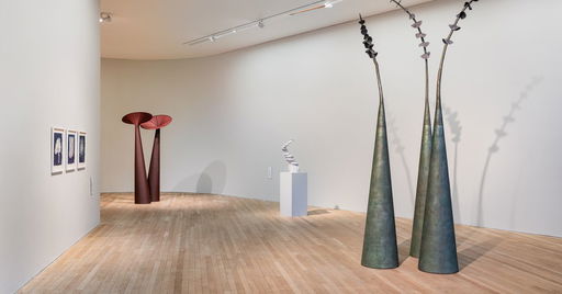 Eilis O'Connell: HAPPENSTANCE