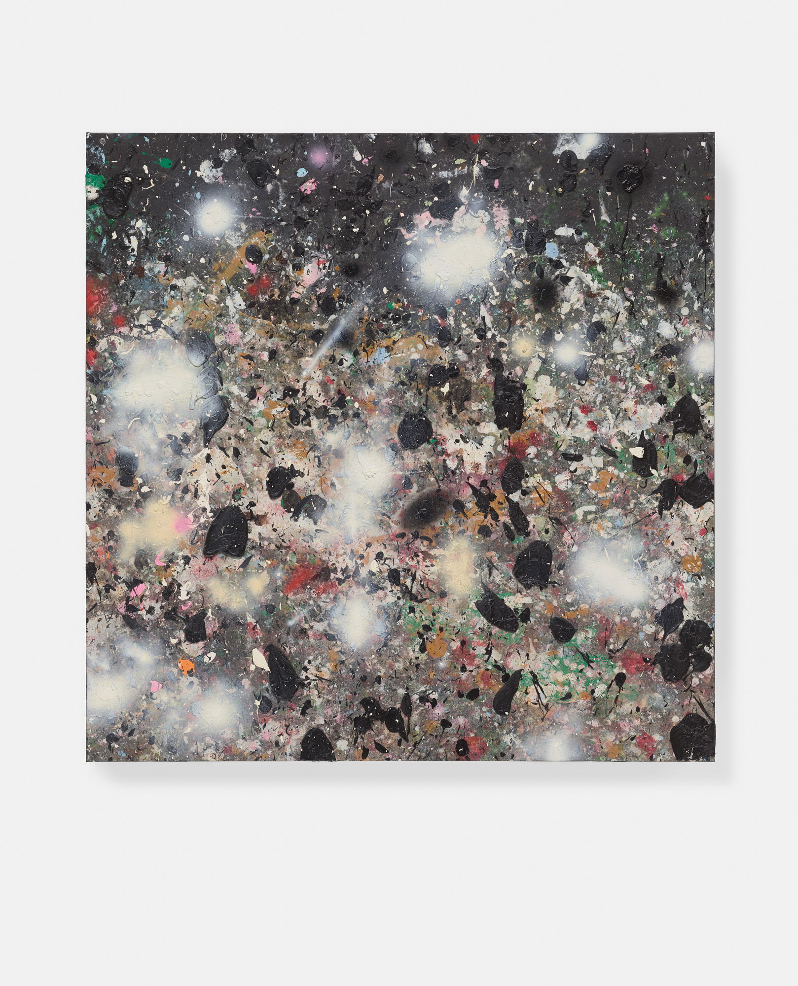 The Observable Universe 1 main image