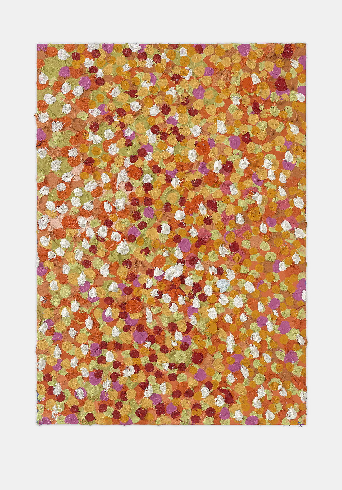 Gracious Veil 1 main image