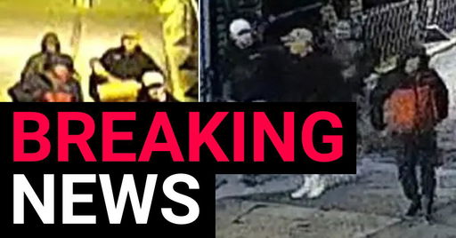 Manhunt launched after 600 'significant' British artefacts stolen from Bristol museum