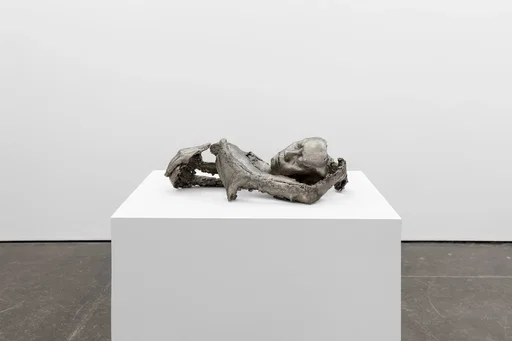 Naotaka Hiro: Others — CAI Magazine