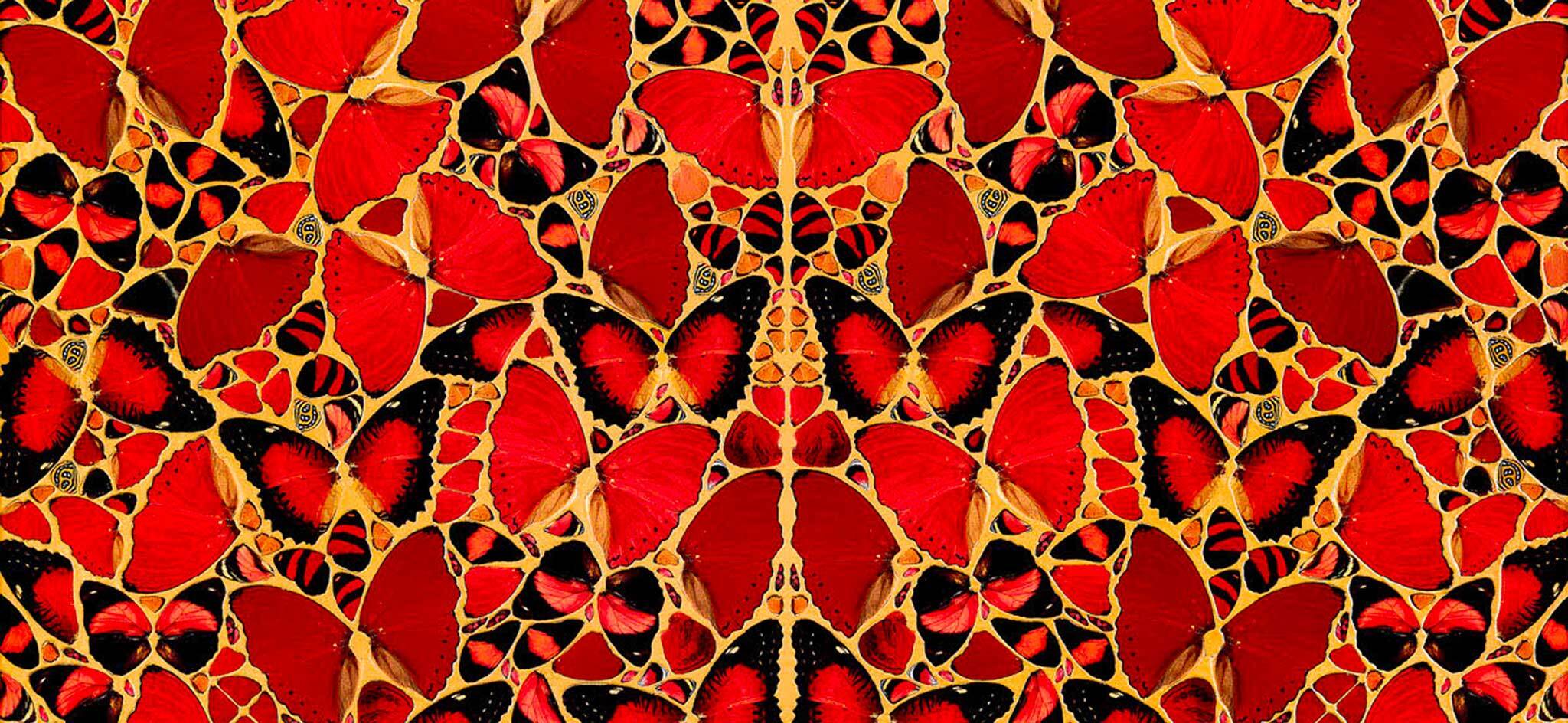 The Light That Shines