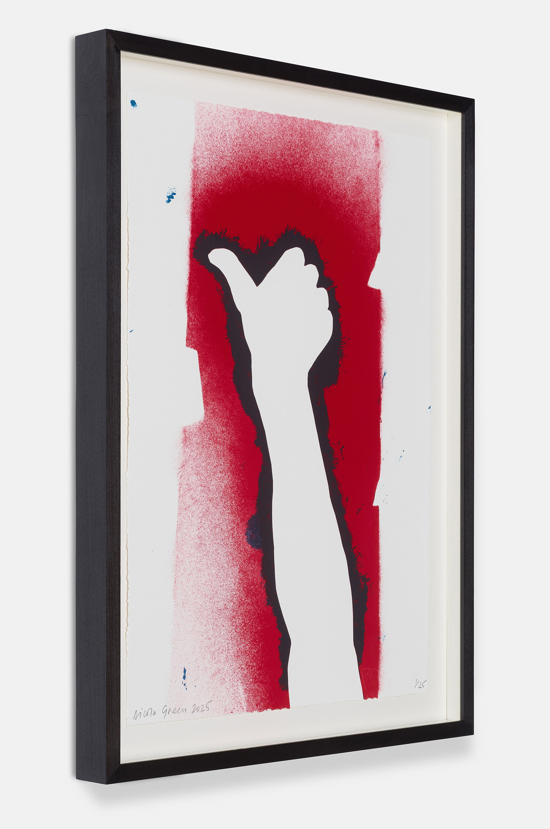 Stars and Stripes I image #4