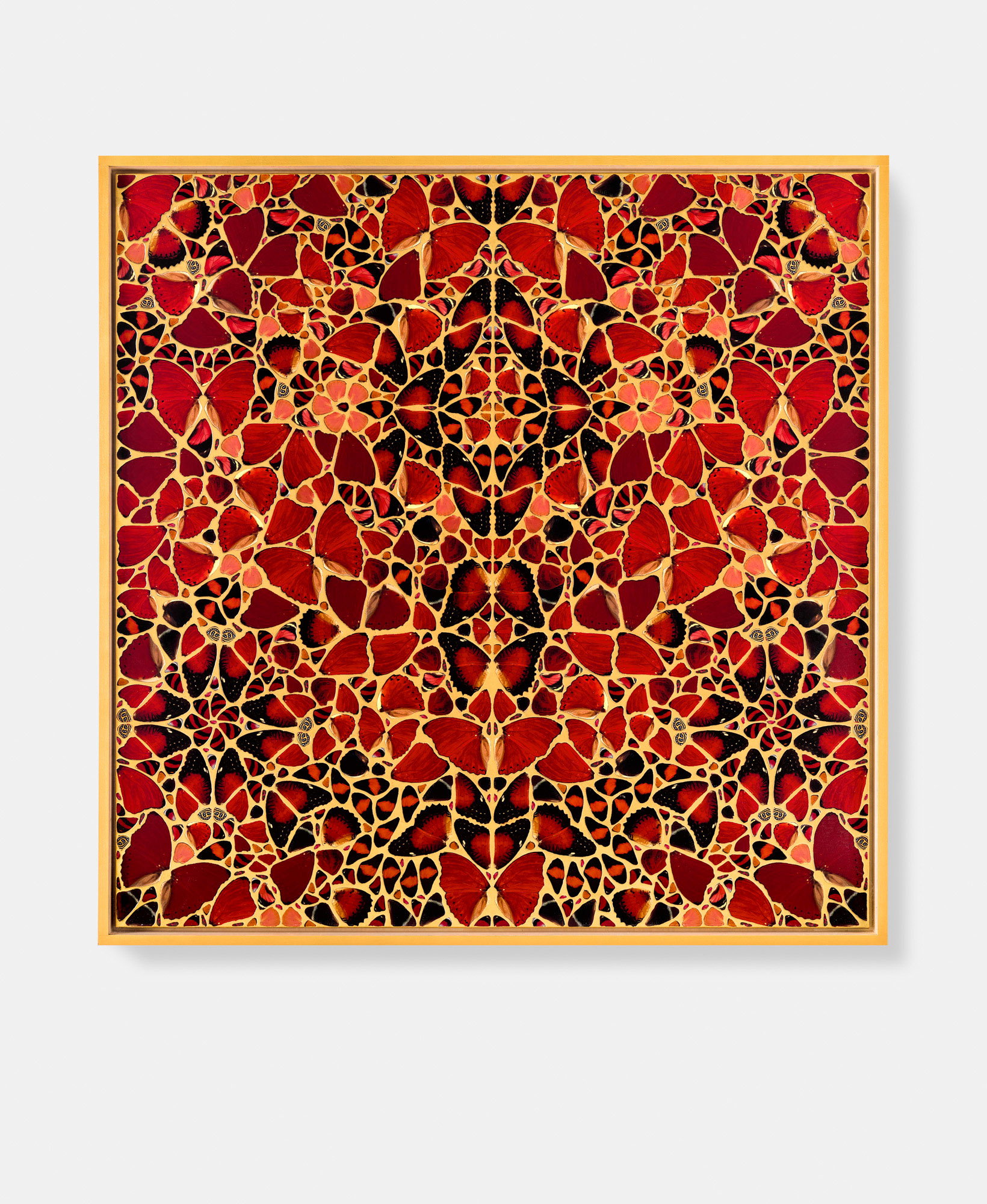 Maria Theresa / Josephine / Agrippina / Babusha / Pompeia Plotina 5