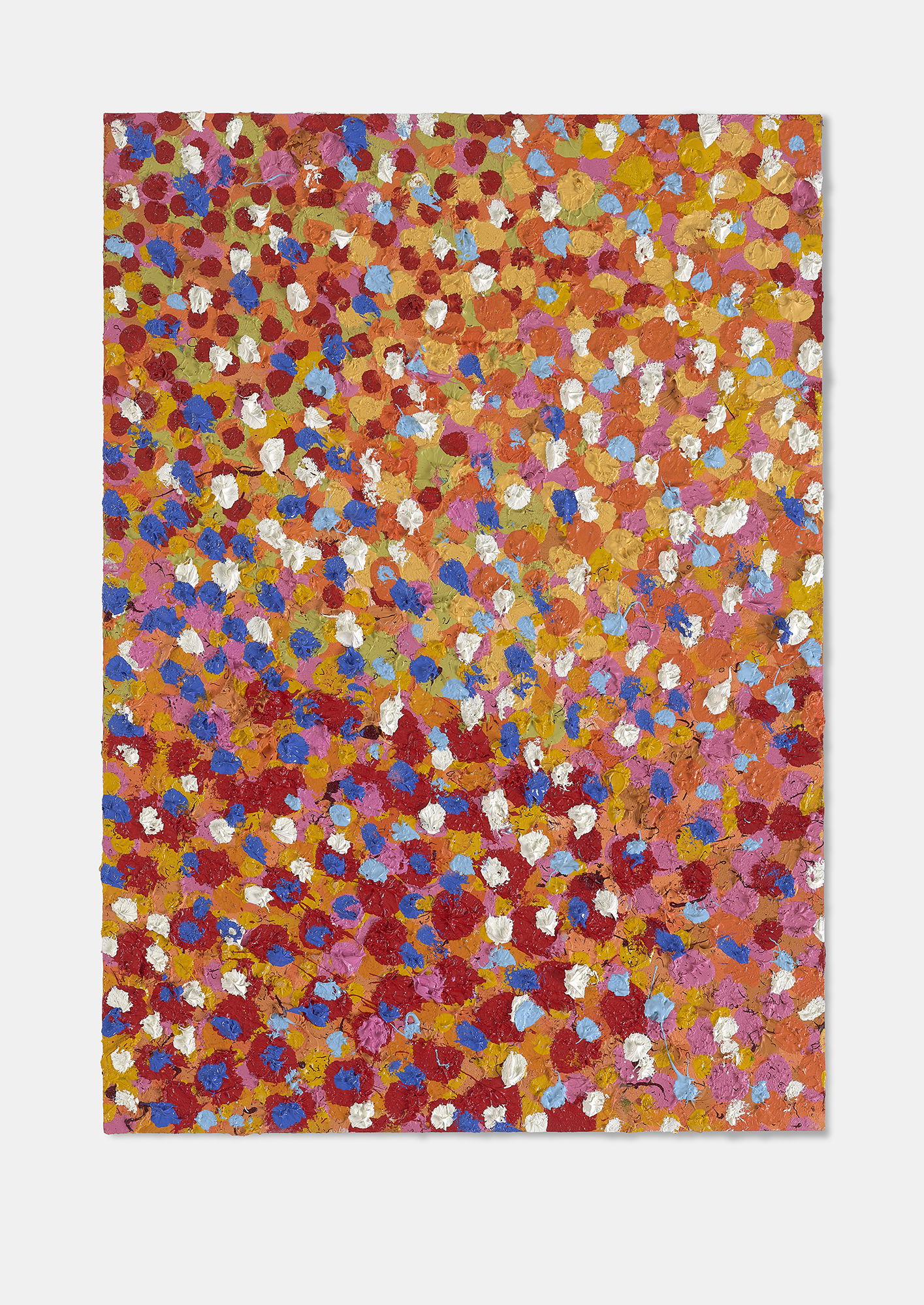 Tenacious Veil 1 main image