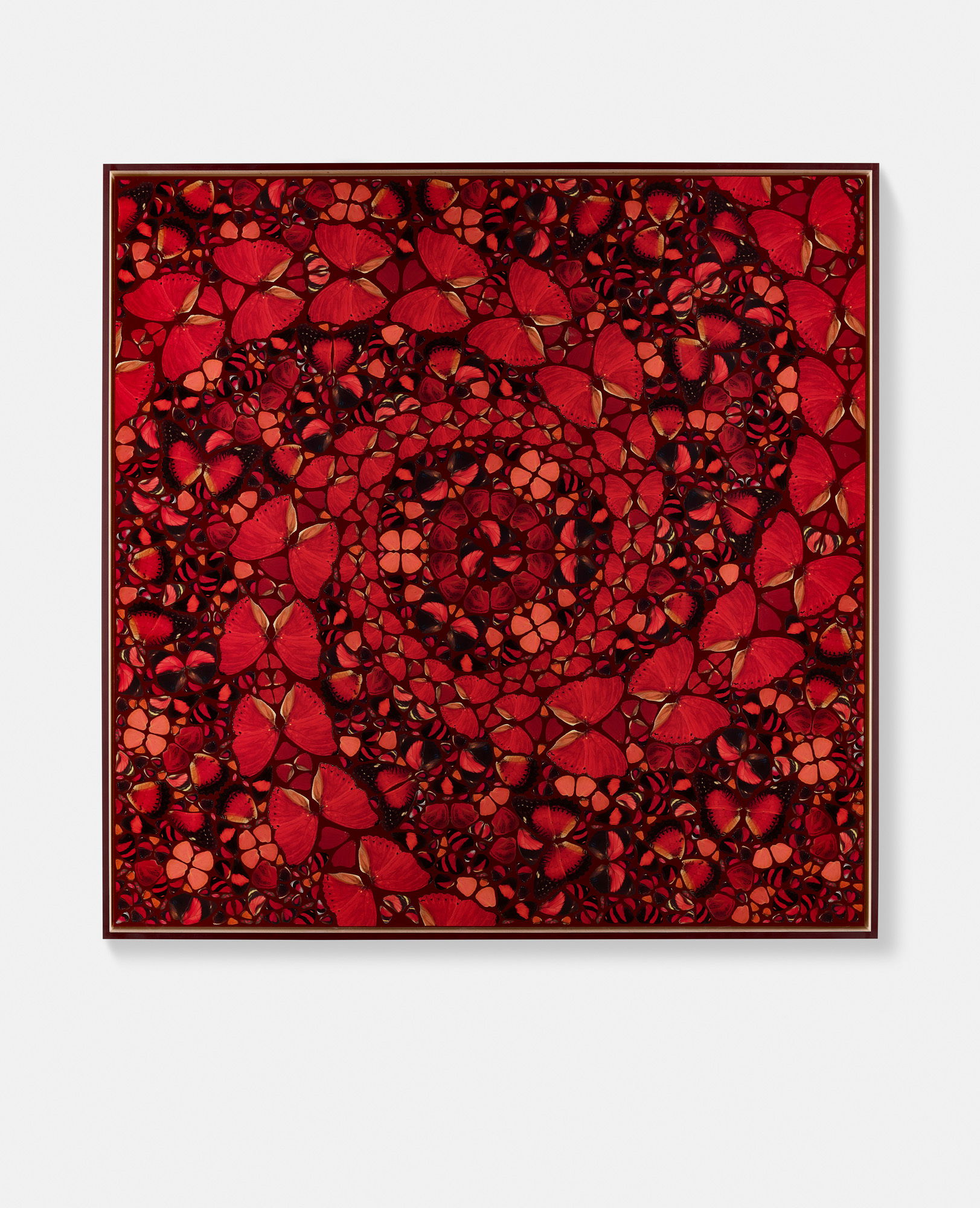 Koken / Eleanor / Livia / Ying / Mentewab 5