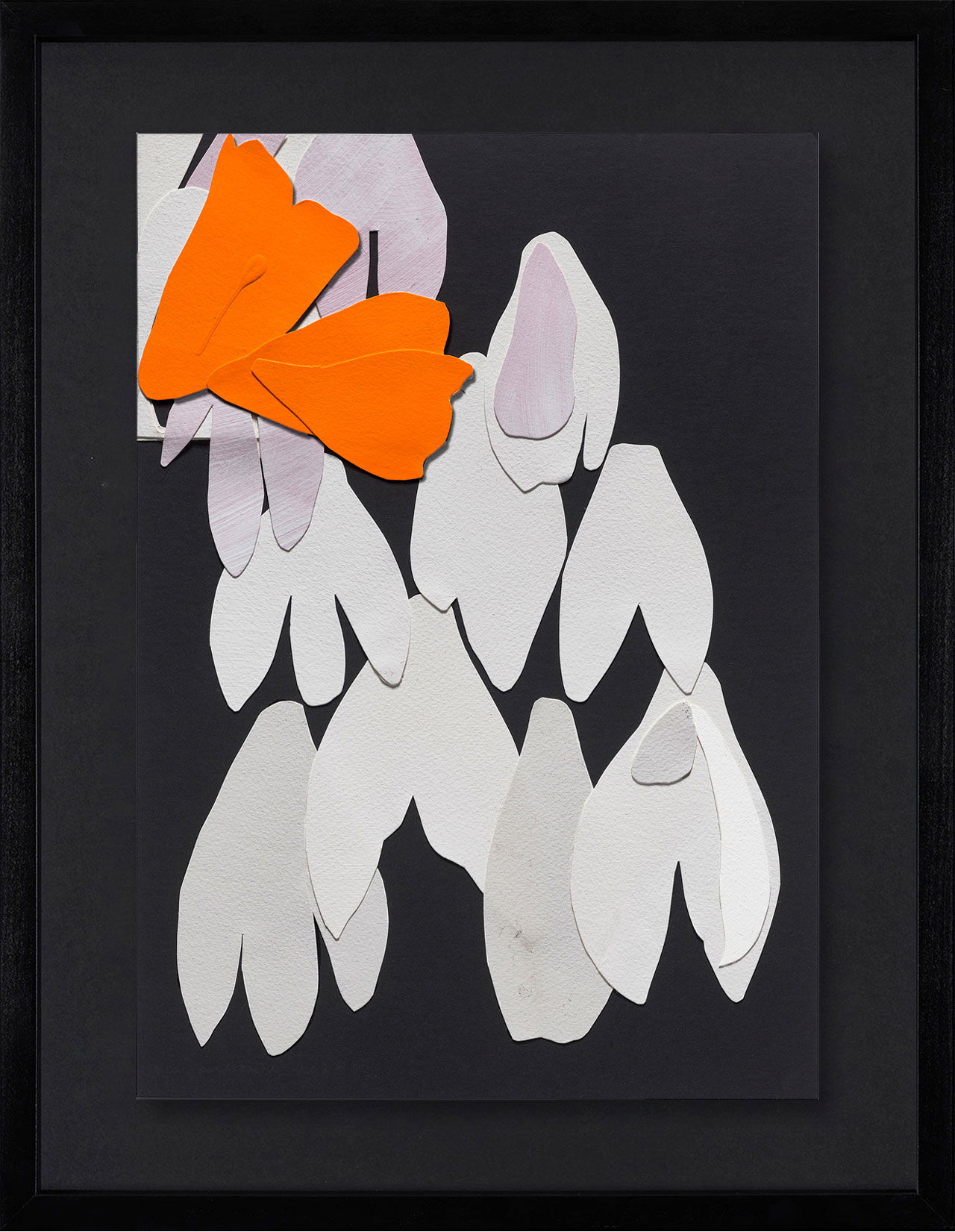 London Clinic  1 main image