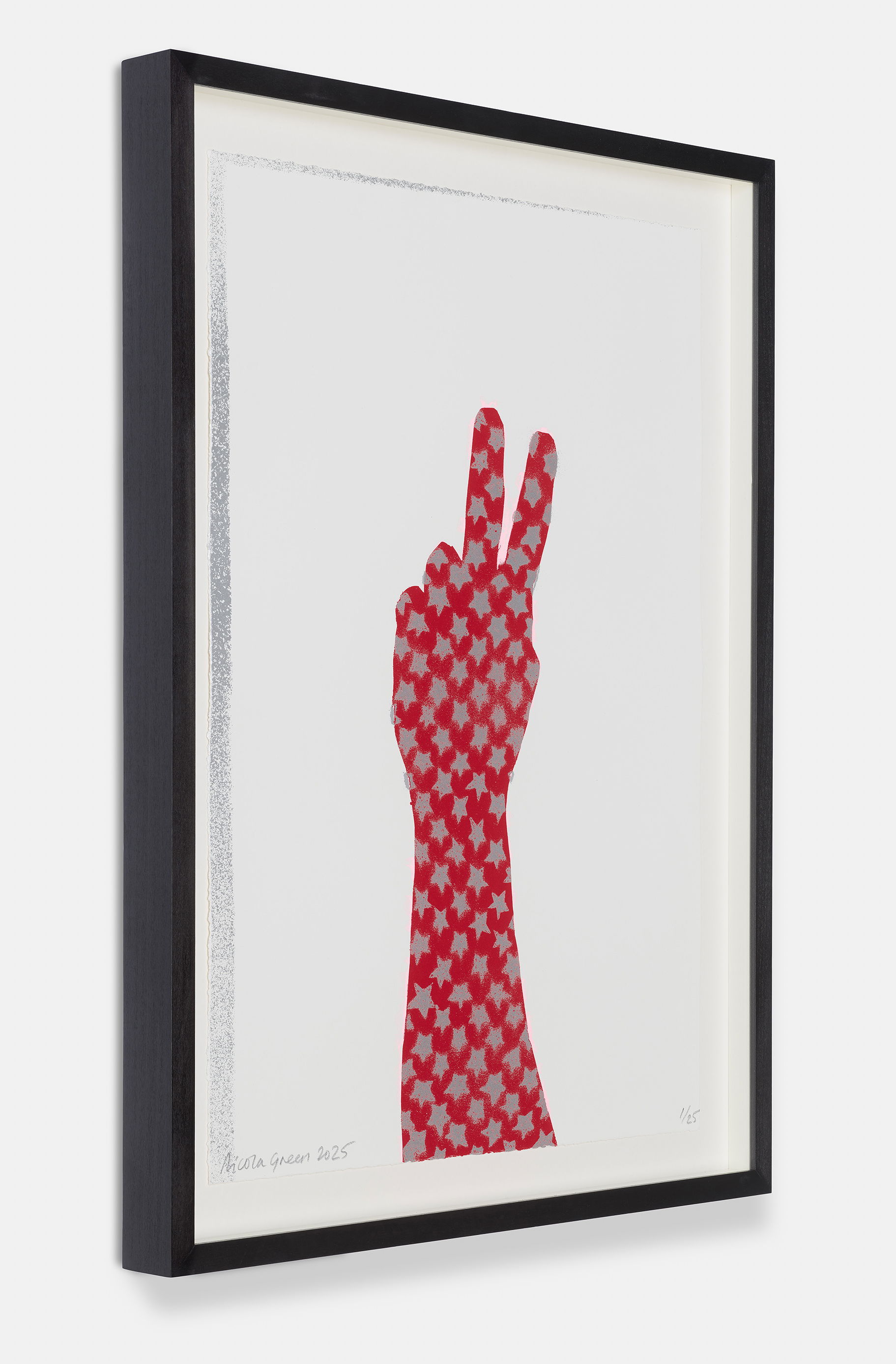 Stars and Stripes V image #3