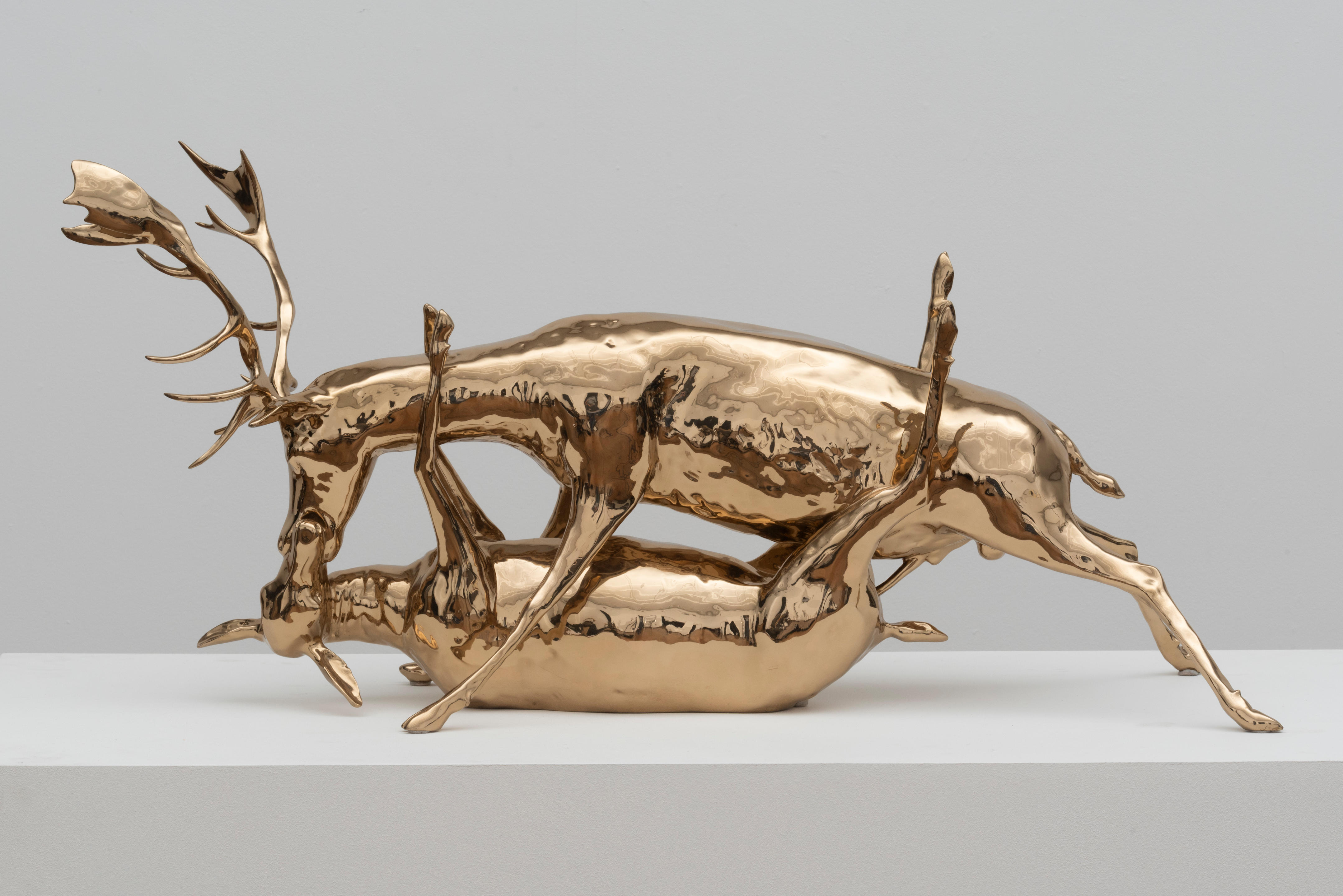 Wim Delvoye | HENI News Profile