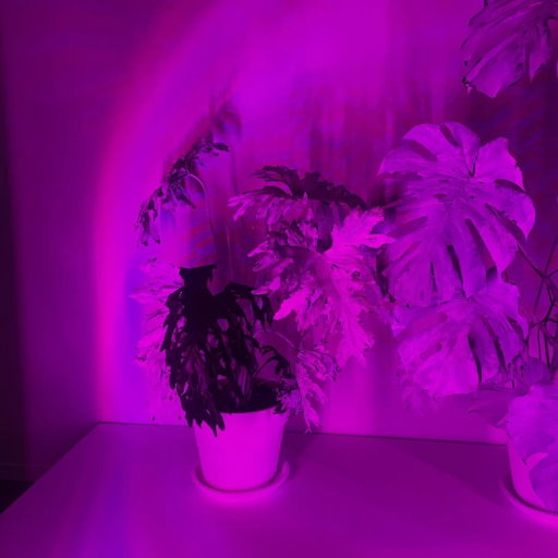 curator_on_the_run