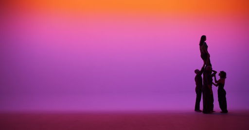 Angelica Mesiti: Reverb