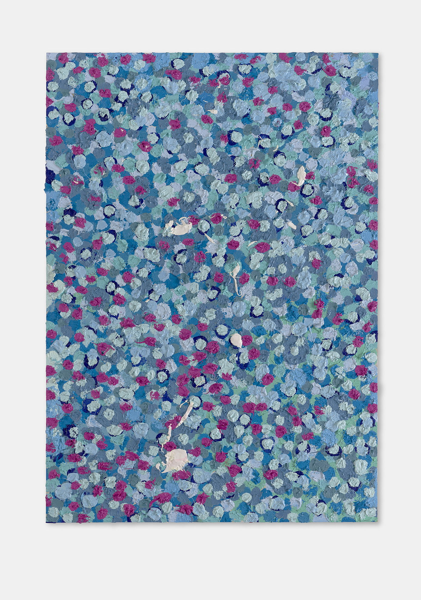 Wise Veil 1 main image