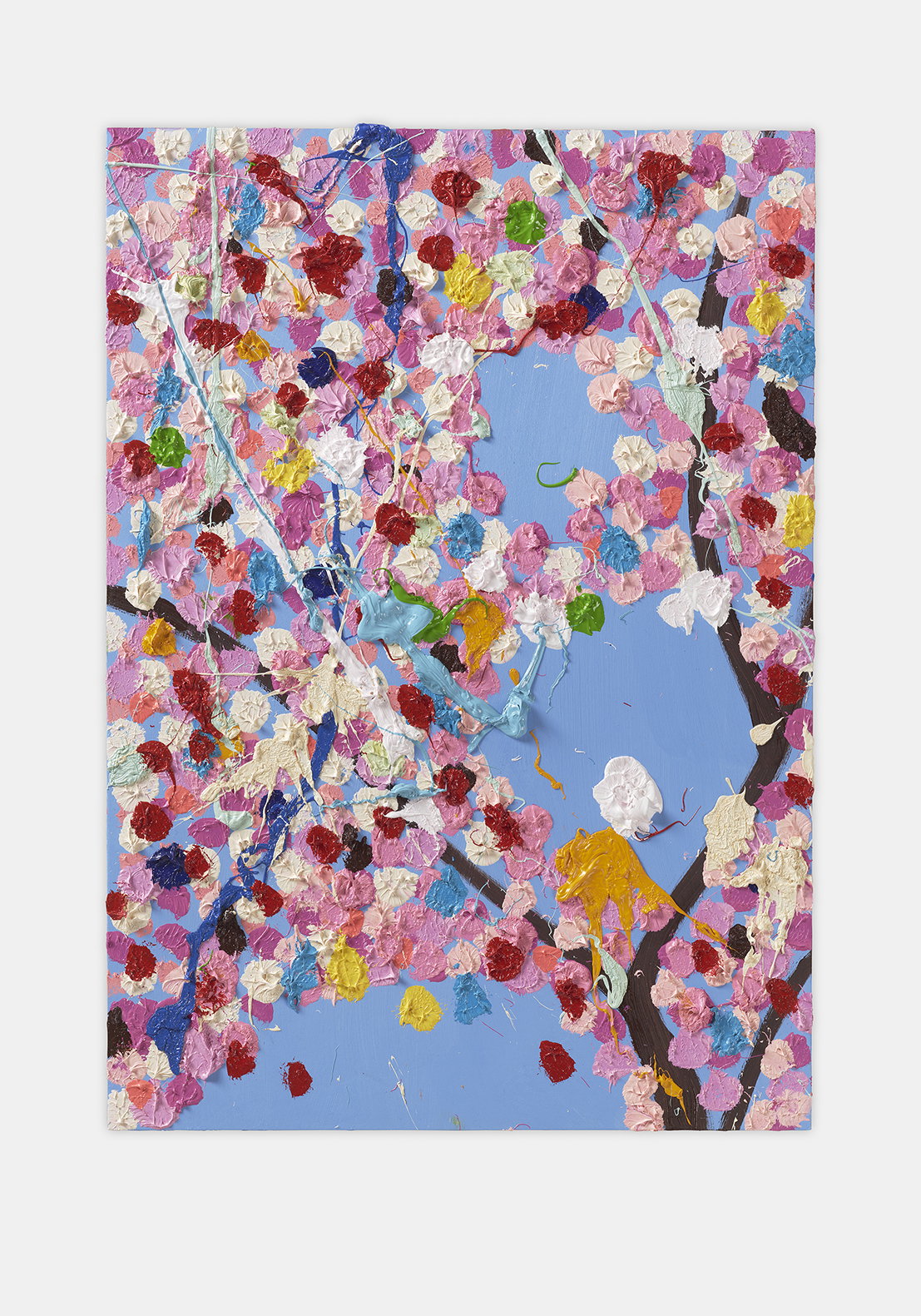 PB886. Springtime Blossom | HENI Primary