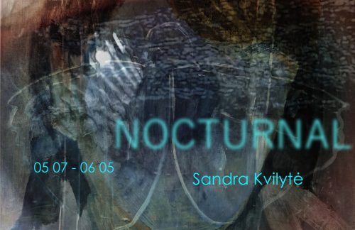 Sandra Kvilytė’s exhibition 'Nocturnal' at the Meno Niša Gallery