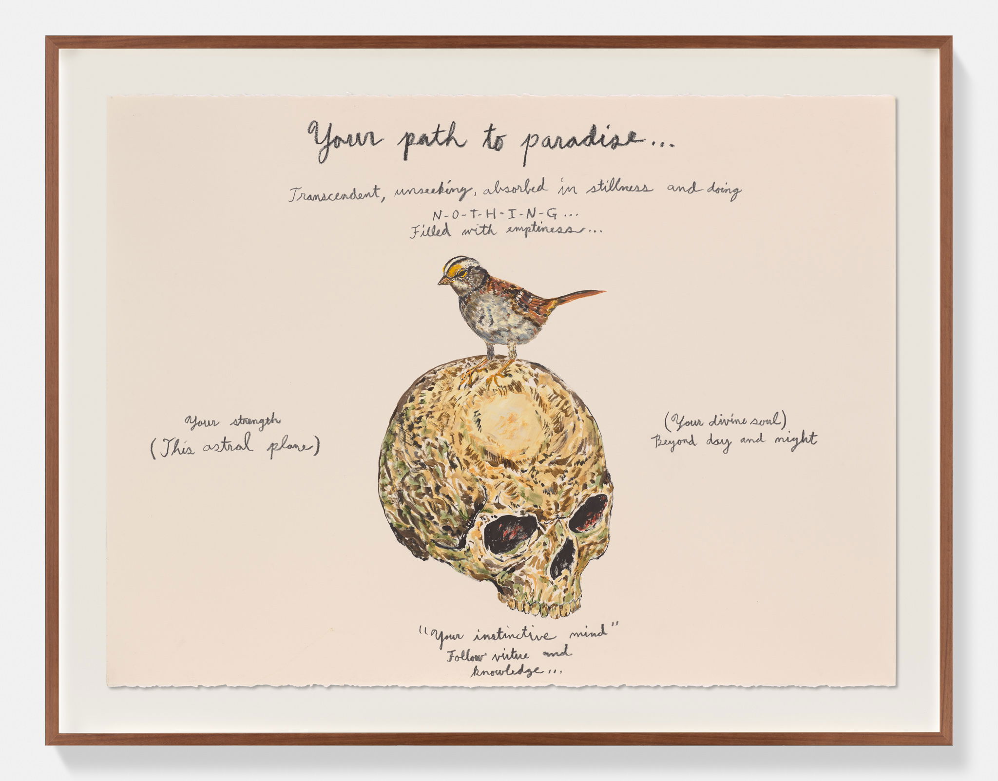 Your path to paradise… 1 main image