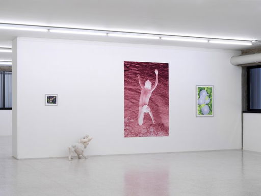 Viviane Sassen “This Body Made of Stardust” at Collezione Maramotti, Reggio Emilia — Mousse Magazine and Publishing