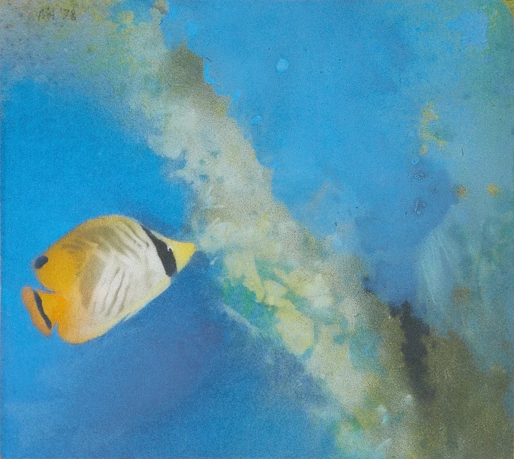 Butterfly Fish by Michael Andrews sold for $934,500 (781% above estimate). Image courtesy of Sotheby's