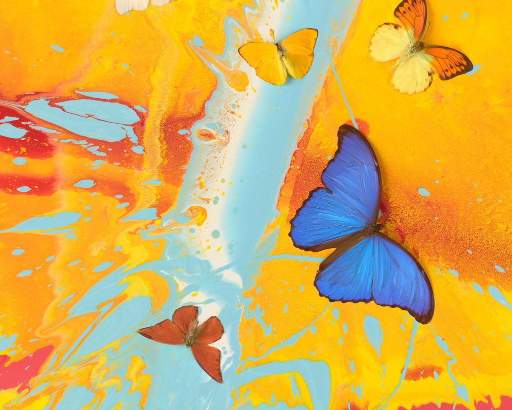 Beautiful There Are More Things In Heaven and Earth Painting (with Butterflies) 4