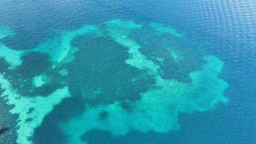 Flooded Worlds & Parallel Realities