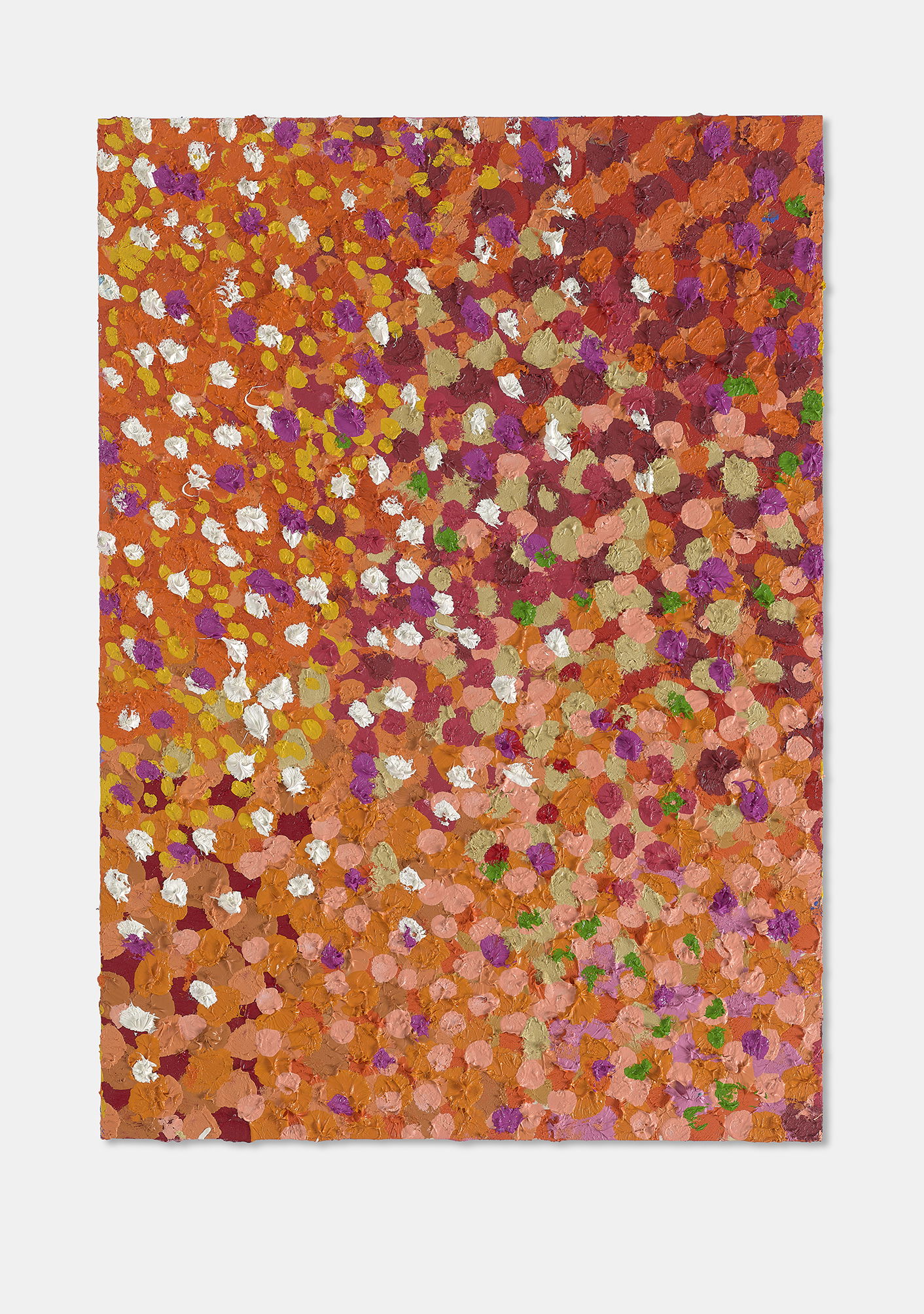 Captivating Veil  1 main image