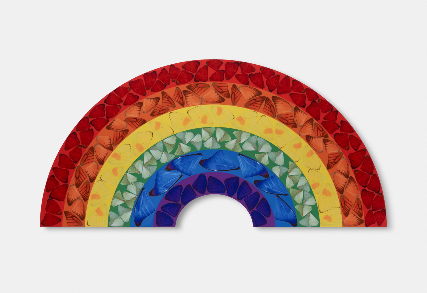 Butterfly Rainbow (Large) image #1 main image