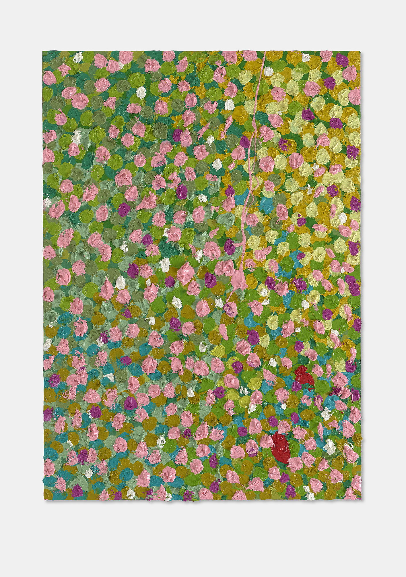 Wondrous Veil  1 main image