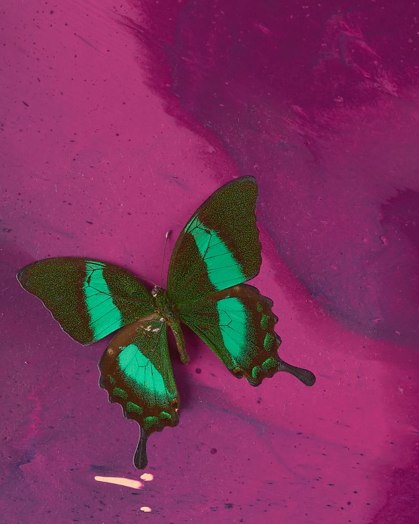 Beautiful End of the Night, Let's Not Go Home Painting (with Butterflies) 3